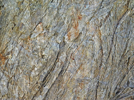 outdoor wood texture