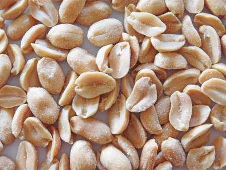 peanut texture