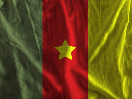 Cameroon flag with textureの写真素材