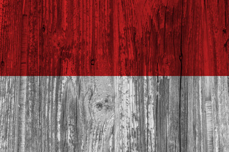 Indonesian flag with textureの写真素材