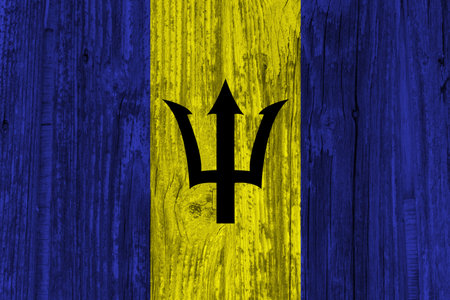 Barbados flag with textureの写真素材