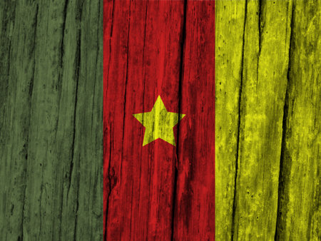 Cameroon flag with textureの写真素材