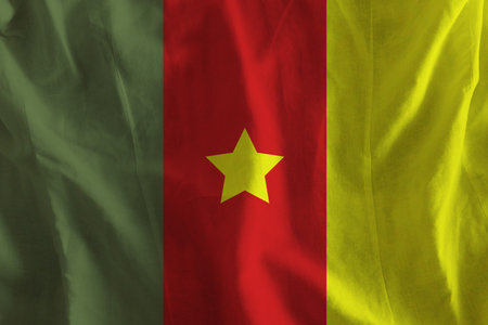Cameroon flag with textureの写真素材