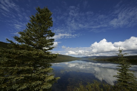 Landscape of Wonder lake in Denali national park, Alaskaの写真素材