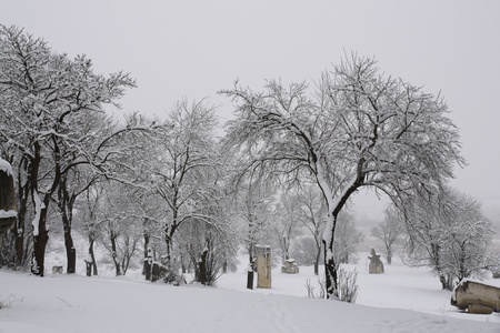 winter trees on snow in Romaniaの写真素材
