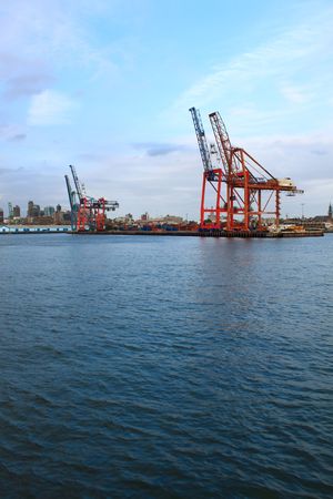 Cranesの写真素材