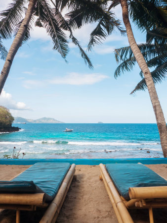 Palm tree at Secret beachの写真素材