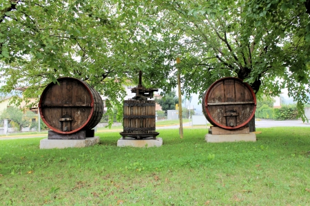 rural landscape which illustrates wine barrels and tools for wine productionの写真素材