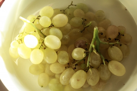 white grape in bowl of waterの写真素材