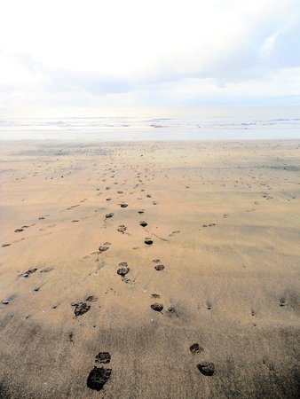 footsteps