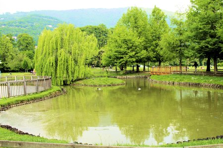 park with a pond in Brescia, northern Italy の写真素材