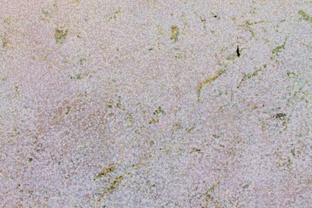 white marble backgroundの写真素材