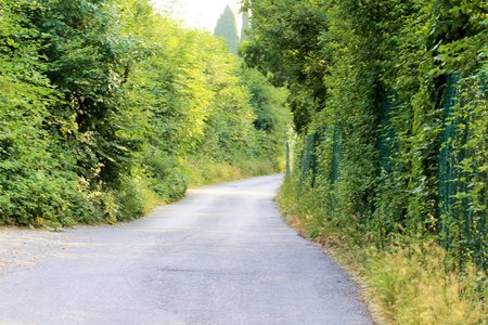road in the middle of natural landscapeの写真素材