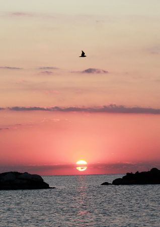 sunrise over the sea の写真素材