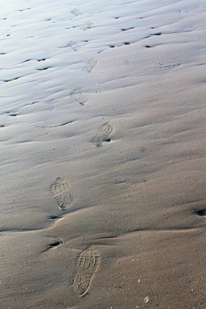 sand of a beach in the summer
