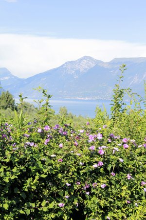 landscape of  Garda lake in northern Italyの写真素材