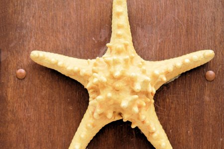 Starfish on wooden backgroundの写真素材
