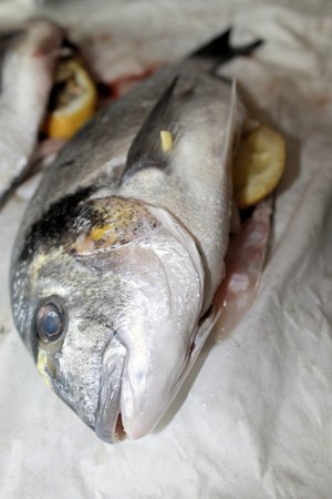 bream on white paper
