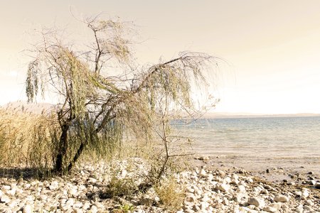 landscape of the beach in Sirmione on Garda lake in northern Italyの写真素材
