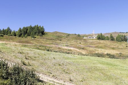 landscape of the Alps mountains in summerの写真素材