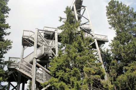 vertical wooden architectureの写真素材