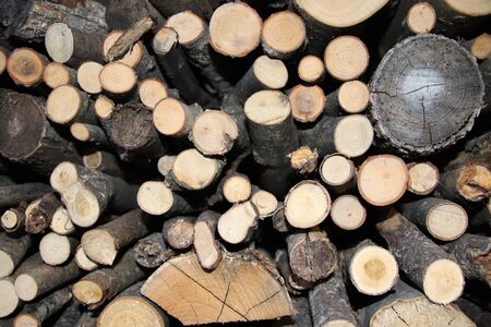 Pile of firewood. Natural fuel of fire wood background textured image