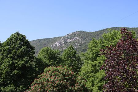 natural landscape with trees and mountains in Italy