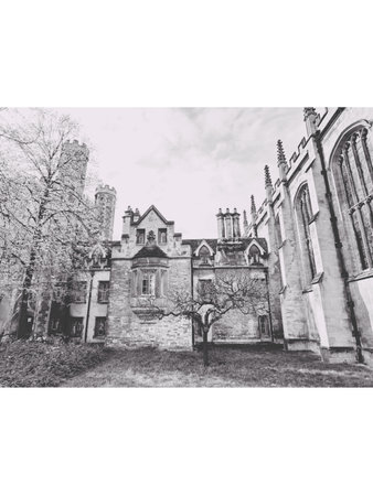 black and white image of an old school building in London, UKの写真素材