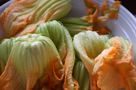 Zucchini flower on white plate, close up of fresh vegetableの写真素材