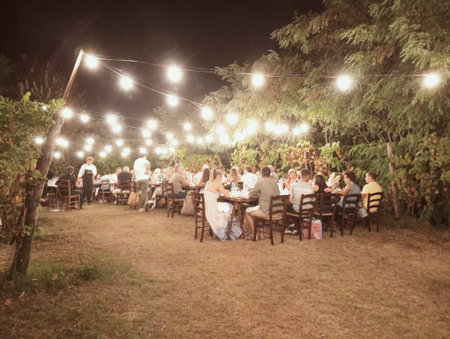 Wedding party in the garden at night. People having fun