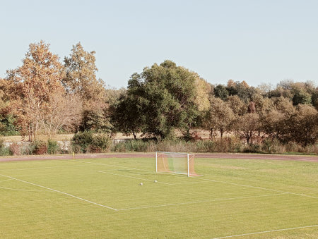 Soccer field with green grass and trees in background, retro toned