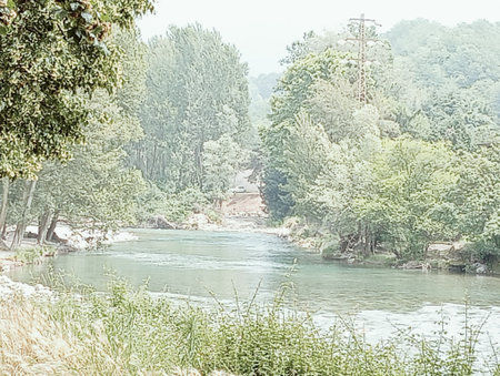 Beautiful landscape of the river and the forest. Toned.の写真素材