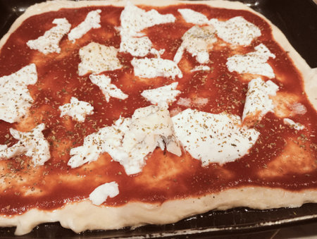 Pizza with mozzarella, tomato sauce and parmesan cheeseの写真素材