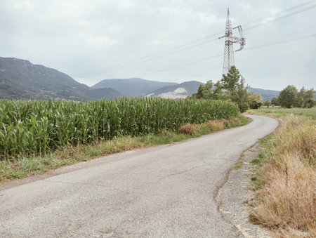 Countryside road with corn and electricity pylon in the background.の写真素材