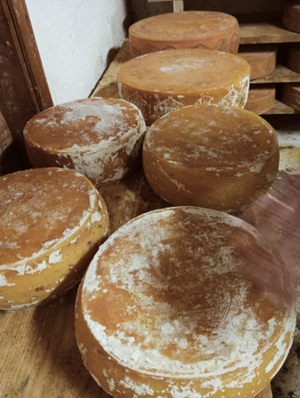 Cheese collection, group of hard cheeses from Sardinia, Italy