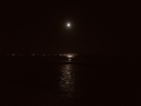 Night view of the moon in the sea