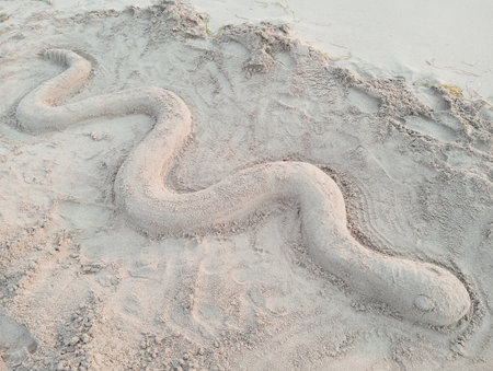 Sand pattern on the beach with a snake in the shape of a waveの写真素材