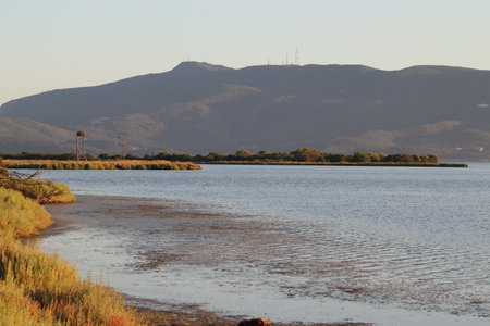 View of Orbetello Lagoon, province of Grosseto. WWF protected area, Tuscany, Italyの写真素材