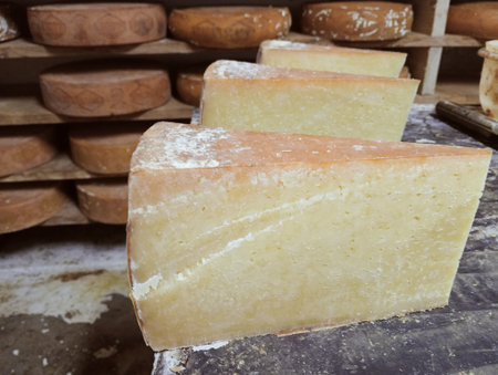 Cheese collection, French sheep cheese made from sheep milk and sheep milkの写真素材