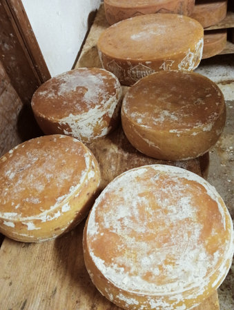 Cheese collection, variety of Italian cheeses made from sheep milk
