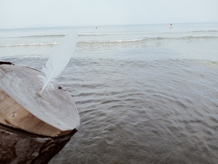 Panoramic view of the city of Brescia in Italyの写真素材