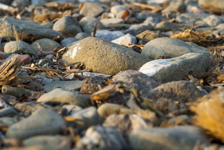 Rocky beach on a warm dayの写真素材