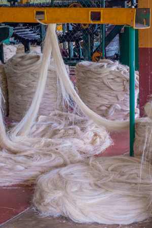 Agave plant fiber spinning, for rope construction, taken at the factory in Tecoh, Yucatanの写真素材