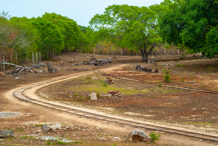 Sorting area with rails, taken in a plantation of Agave, in Tecoh, in the Yucatan peninsulaの写真素材