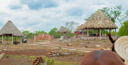 View of the Agave sorting area, with entrance to the Cenote, at Tecoh, in the Yucatan peninsulaの写真素材