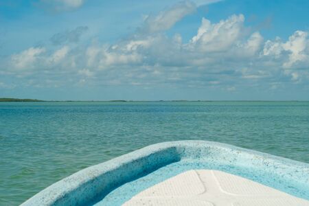 Shot from the boat, in the biosphere of Sian Ka'an nature reserveの写真素材