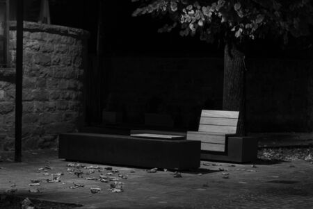 Wooden bench, illuminated by a lamppost, taken in black and white during the autumnの写真素材