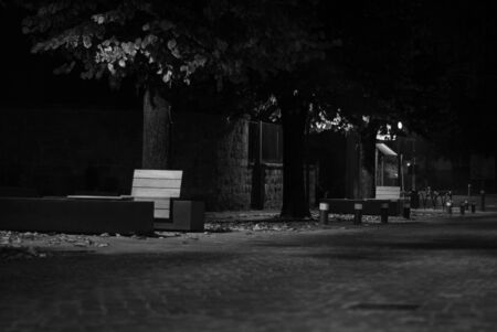 Monochromatic shot of a city night borough, among trees and fallen leaves, in autumnの写真素材