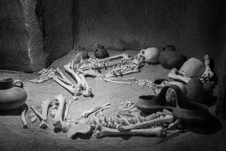Human bones and ancient iron artefacts, found in the archaeological area of Paestumのeditorial素材