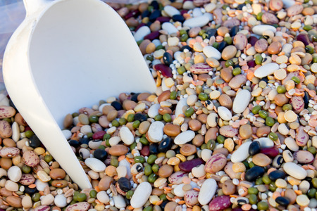 mixture of various raw legumes and spelledの写真素材